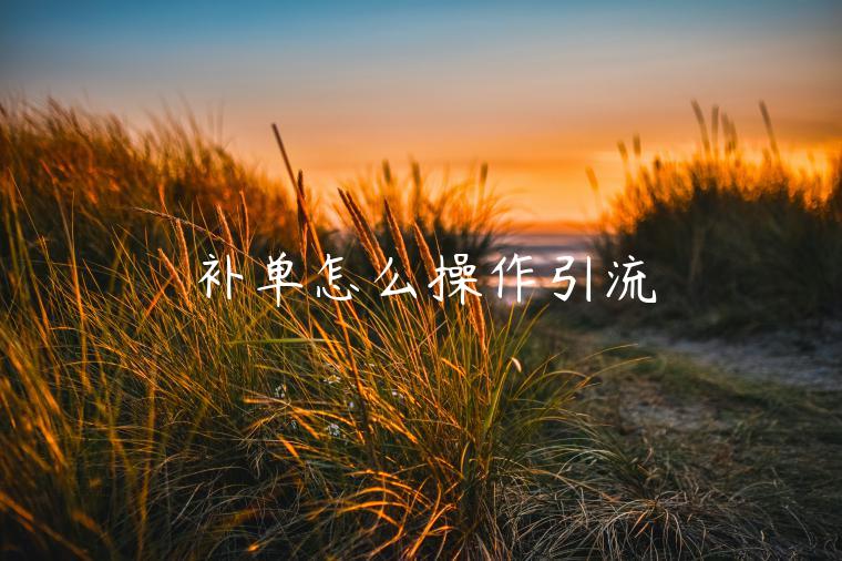 補(bǔ)單怎么操作引流